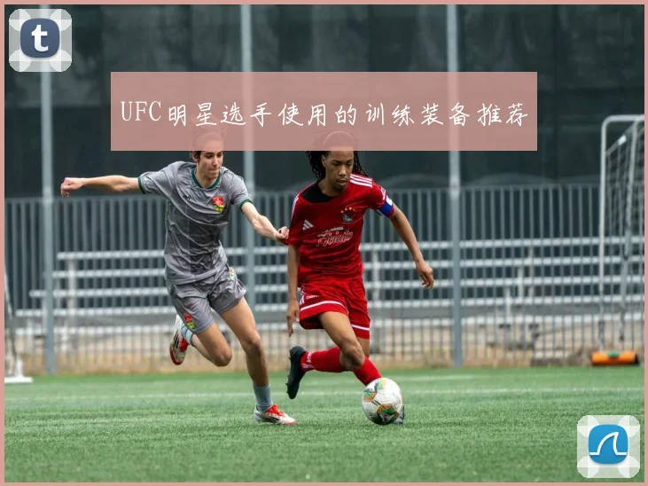UFC明星选手使用的训练装备推荐