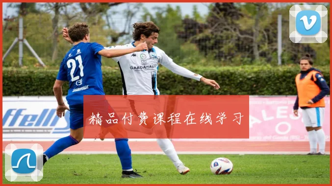 精品付费课程在线学习