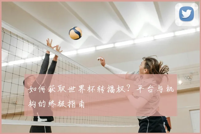 如何获取世界杯转播权？平台与机构的终极指南