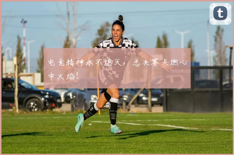 电竞精神永不熄灭，总决赛点燃心中火焰！