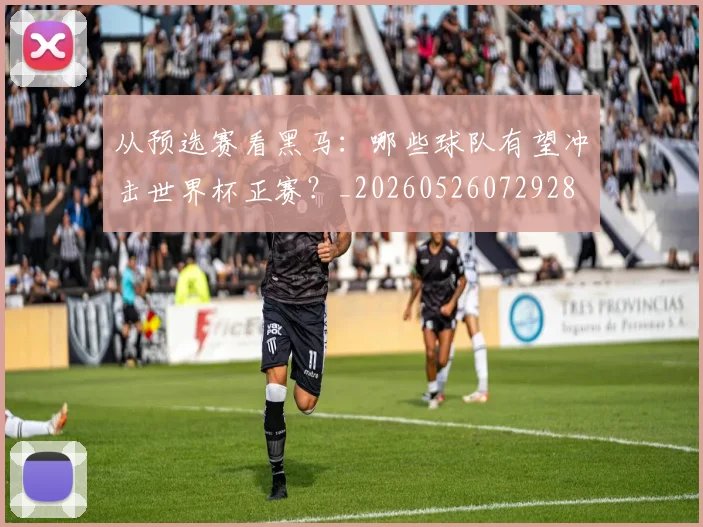 从预选赛看黑马：哪些球队有望冲击世界杯正赛？_20260526072928