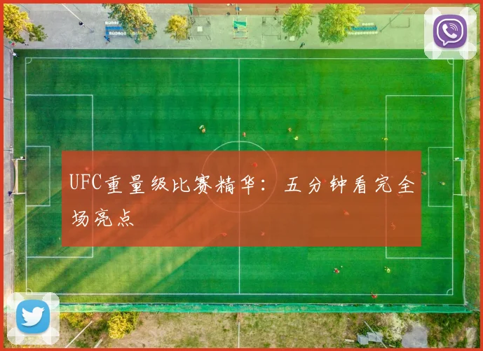 UFC重量级比赛精华：五分钟看完全场亮点