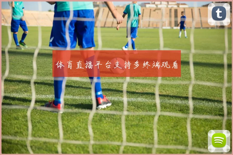 体育直播平台支持多终端观看