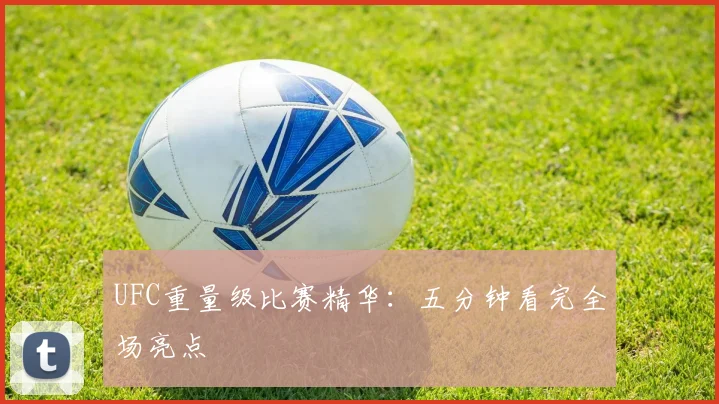 UFC重量级比赛精华：五分钟看完全场亮点